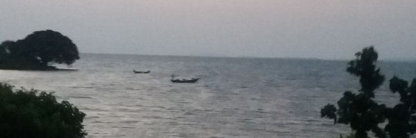 Jadudi Profile Banner