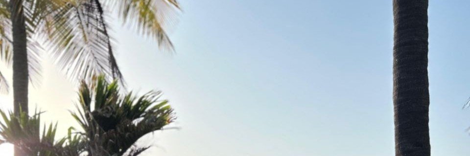 MrDomBull banner