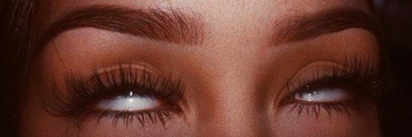 amazondaja Profile Banner