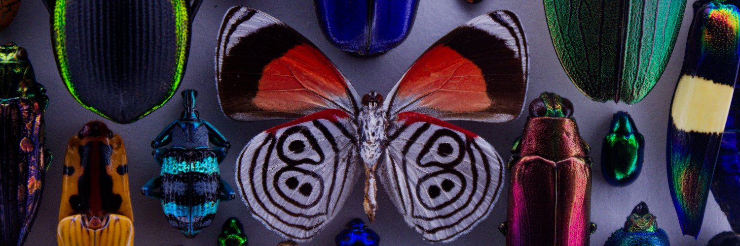 PS2FISHTANK.COM banner