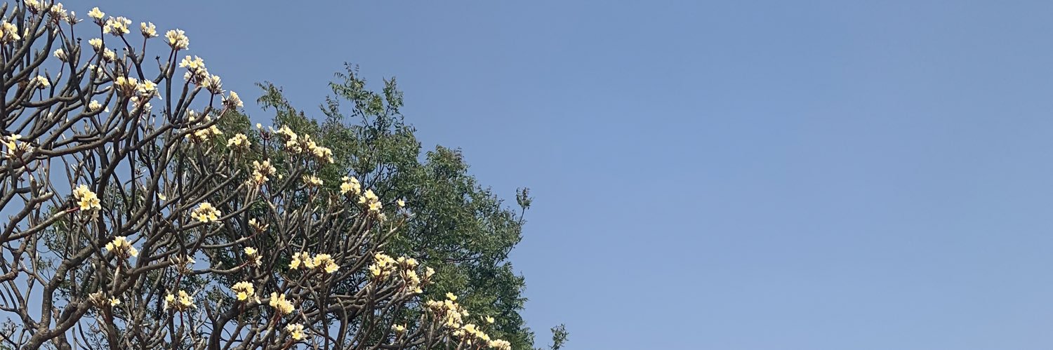 Ramesh Swaminathan banner