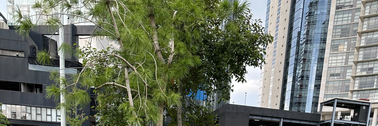 babsdeborah's profile banner image