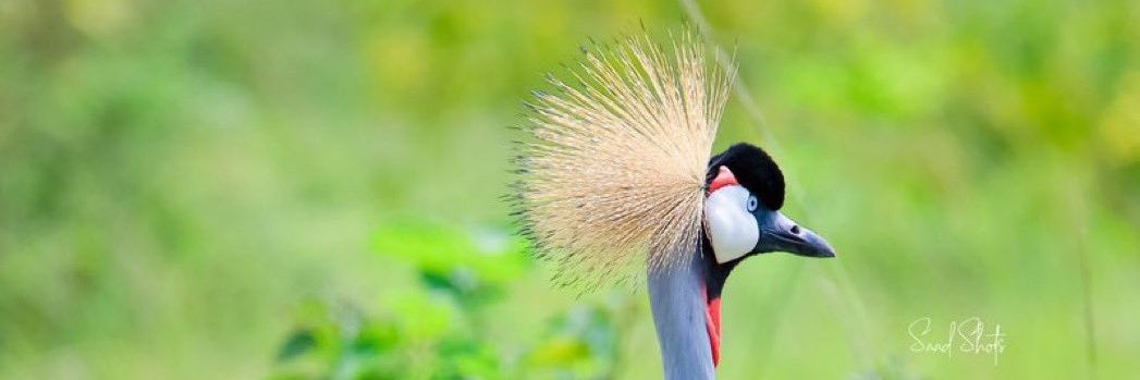 Slivan Muchunguzi banner