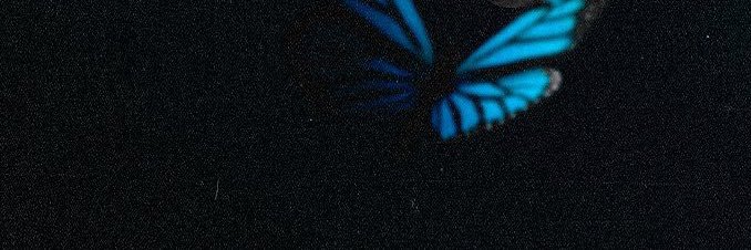 TRIZ banner