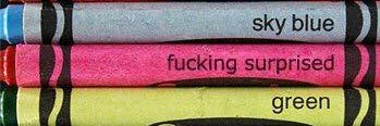 Kayla Anne Carter banner