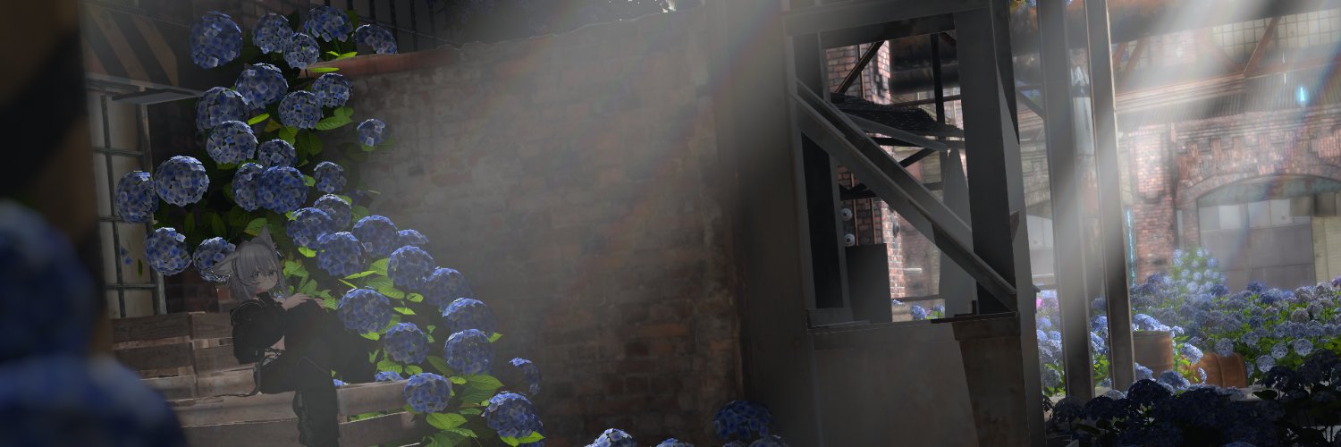 Trin_vrc's profile banner image