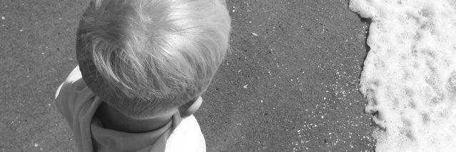 CV_Torch's profile banner image
