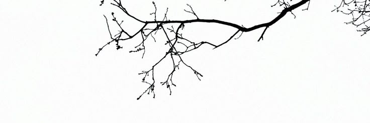 hyeonpwp's profile banner image