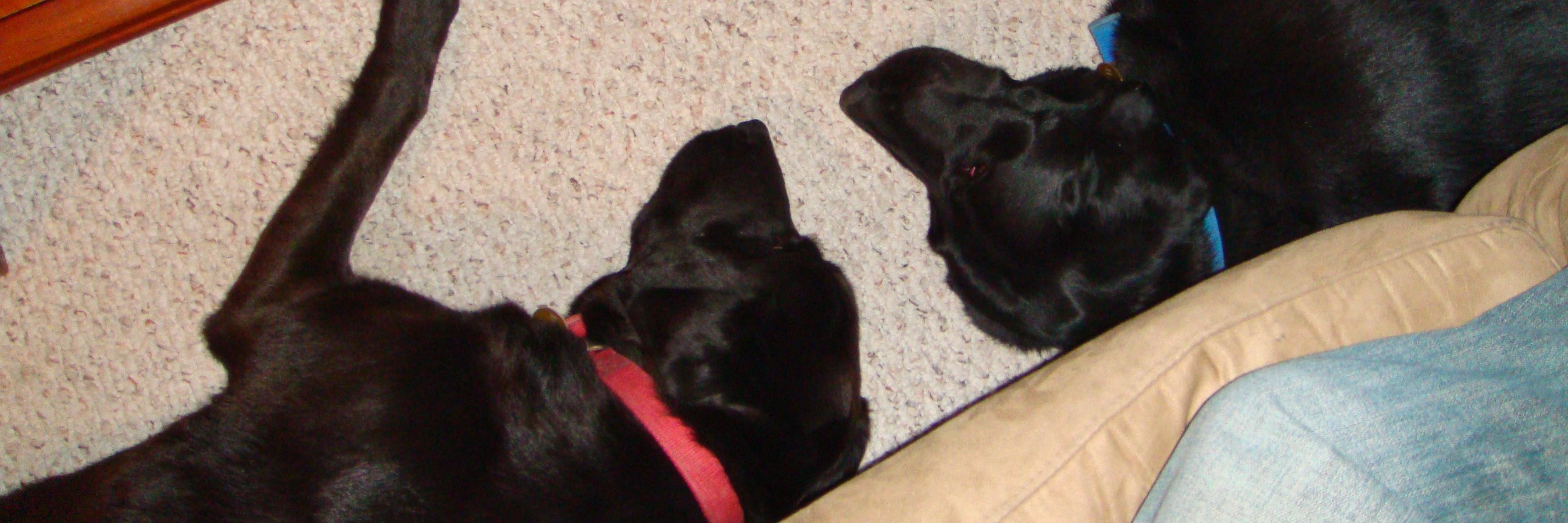 SpaceBDav's profile banner image