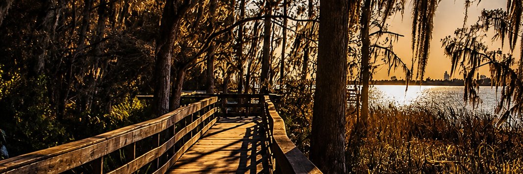 Eyothrie's profile banner image