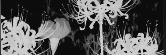 ev of twt ๑•͈ᴗ•͈๑ ™ banner