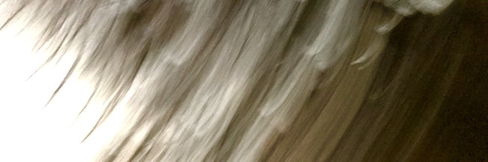alEcologia's profile banner image