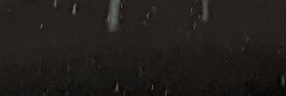 brownstone5555's profile banner image