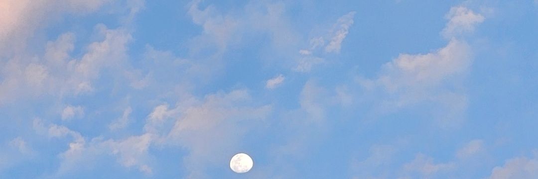 yllandy's profile banner image