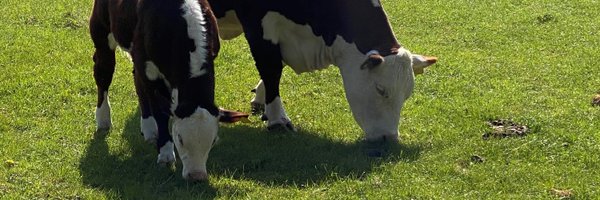 HertsFarmer Profile Banner