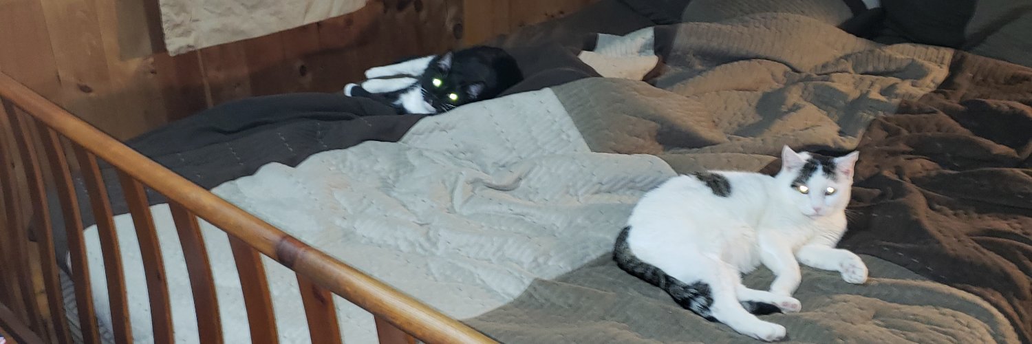 nick banner