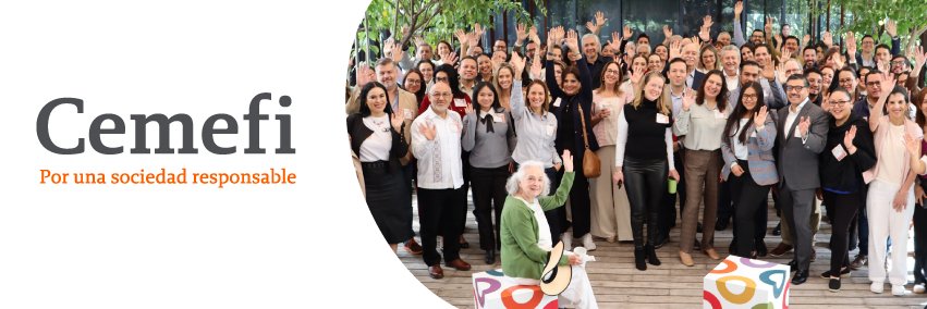 Centro Mexicano para la Filantropía banner