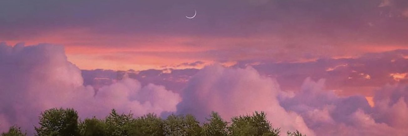 fleurlytemple's profile banner image