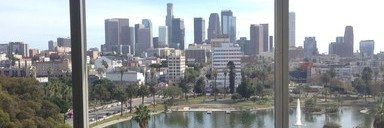 Tim Tyrell-Smith banner