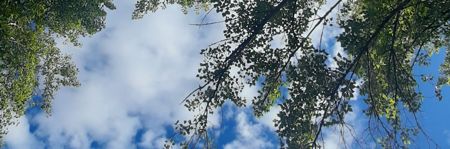 Cece 🚴🏽‍♀️💚 banner