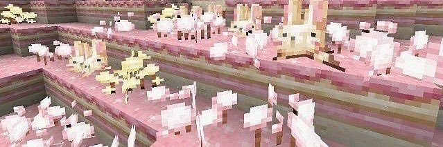 hamasini's profile banner image