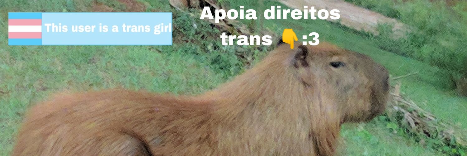 Lua231 🏳️‍⚧️ banner