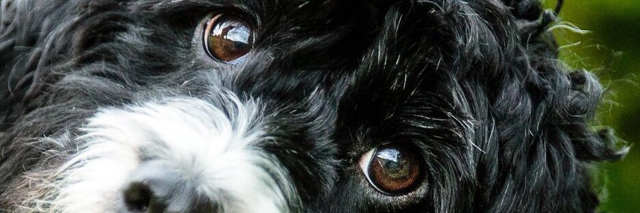 Debs_21's profile banner image