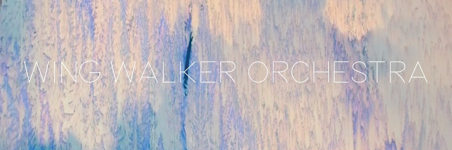 wingwalkermusic's profile banner image