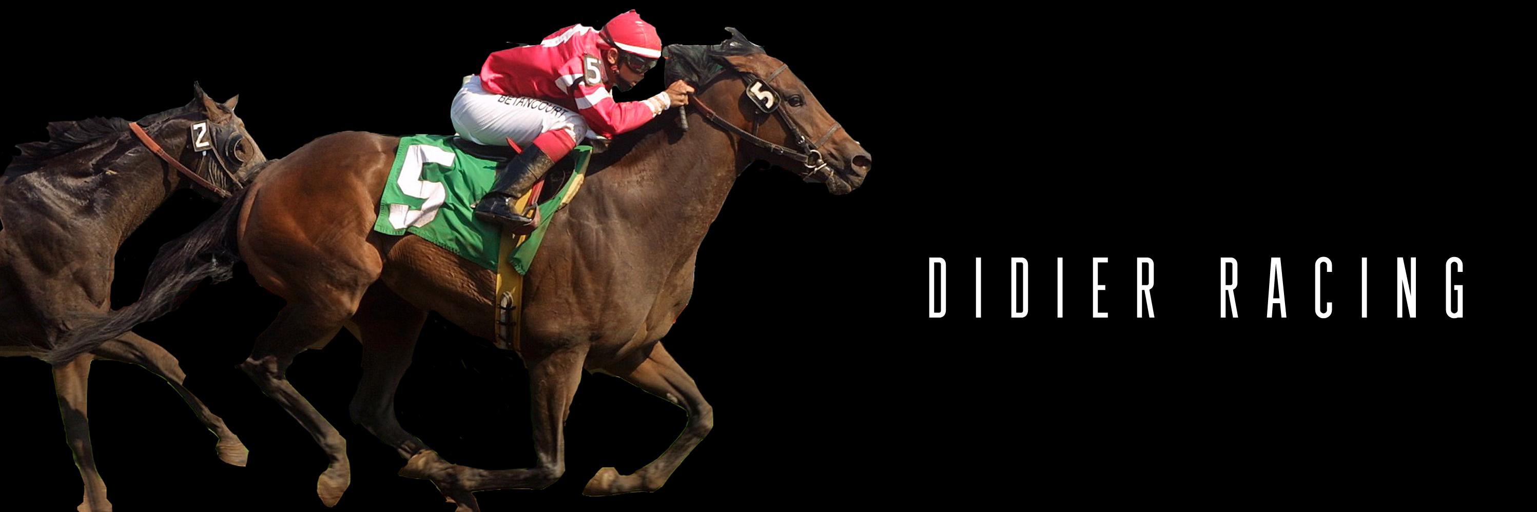 didsracing's profile banner image