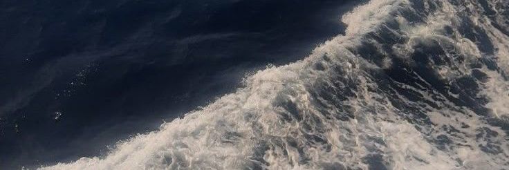 ca banner