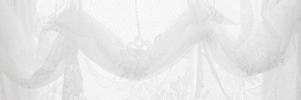 wevxnn banner