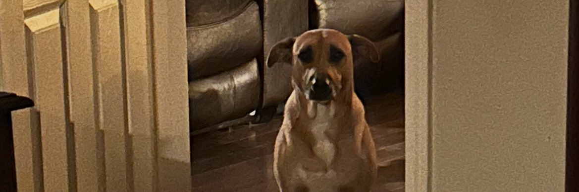 Thomas Sewell banner