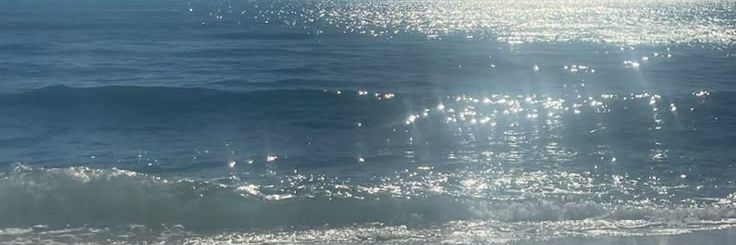 오션 banner