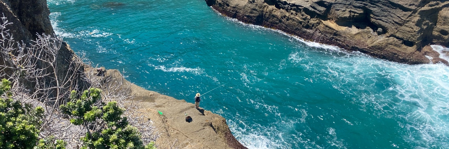 Steven Bothwell banner