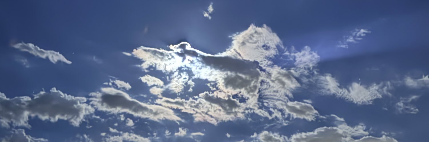_BabyKangaroo's profile banner image