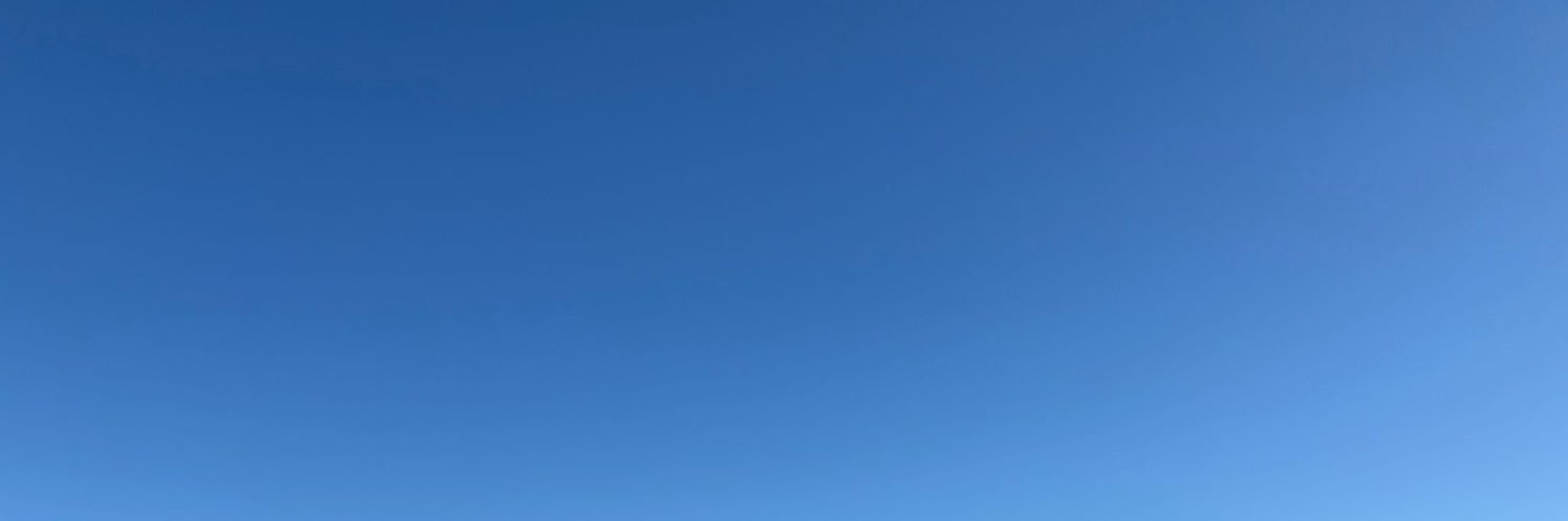 Lu Xun banner