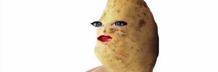 potato of shed banner