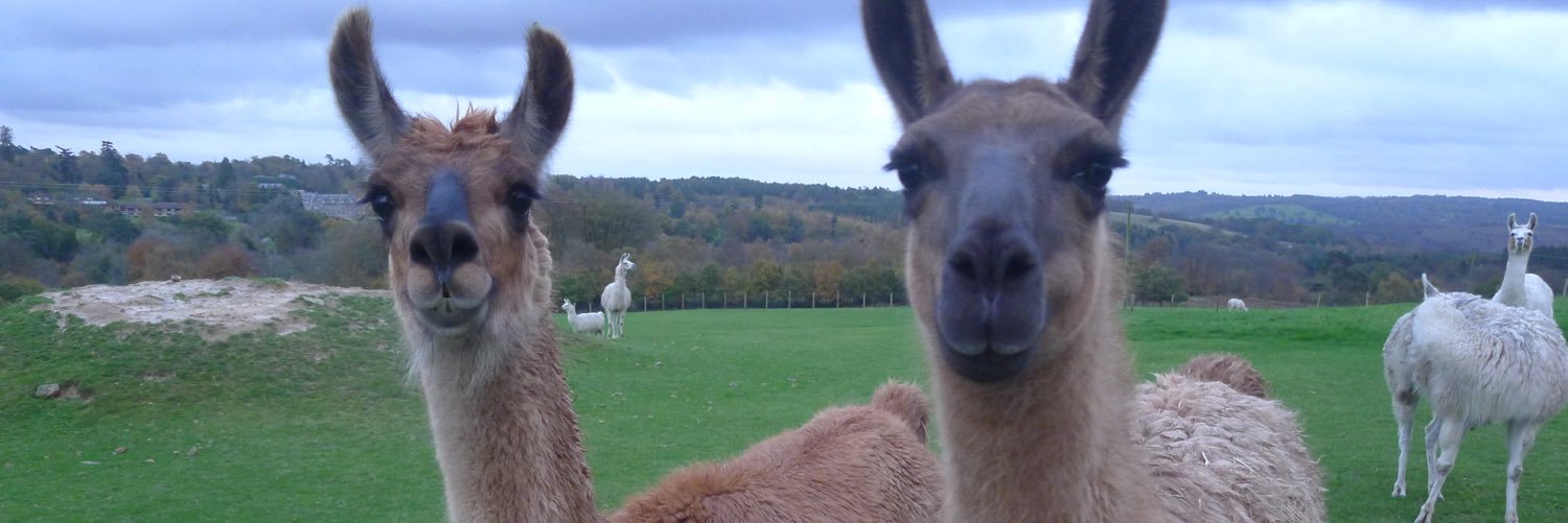 funinhounslow's profile banner image