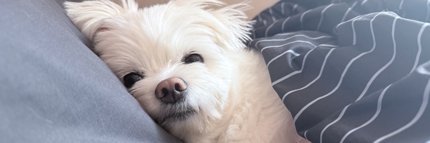 bailey__KK's profile banner image