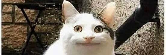 Pearl Watkins banner