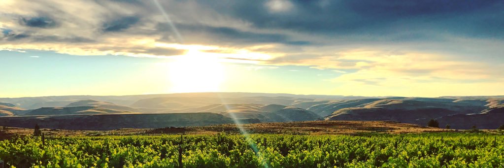 Joshua Failé (inactive) banner