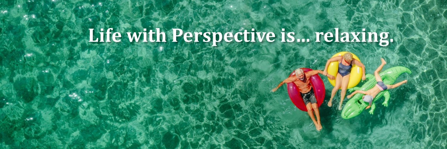 PerspectiveFS's profile banner image