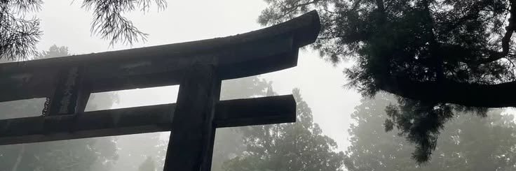 V1Iiav's profile banner image