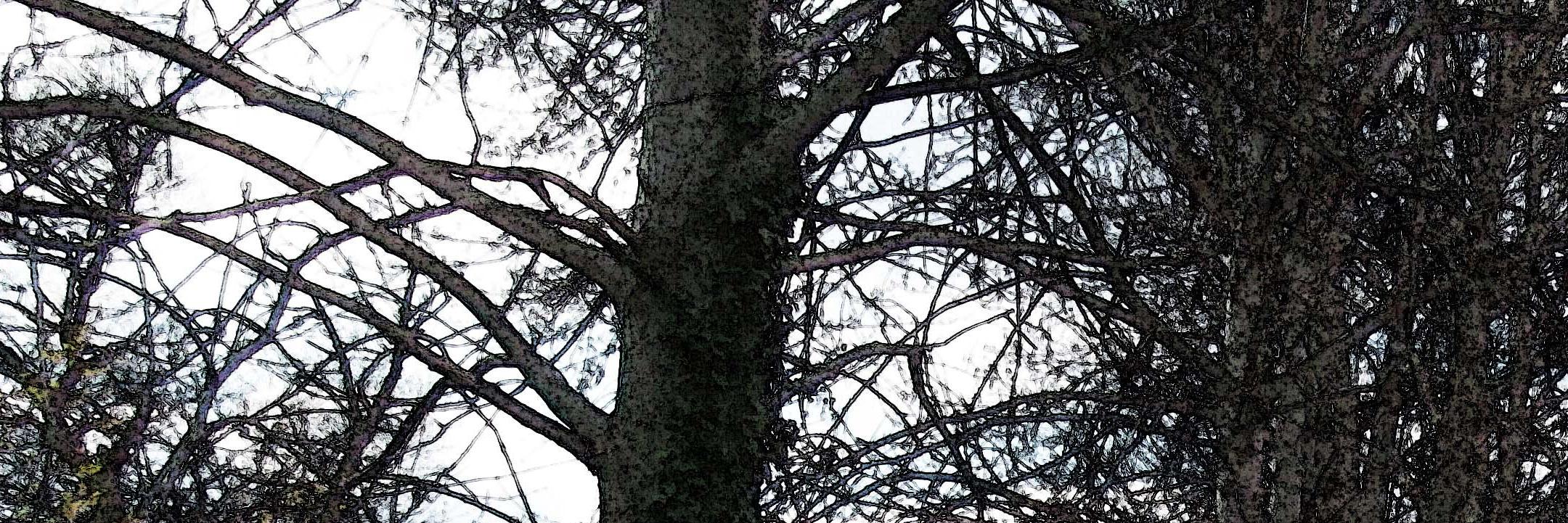 yogaconjuana's profile banner image