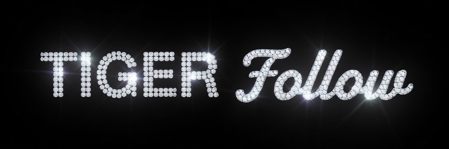 𝑻𝒊𝒈𝒆𝒓 banner