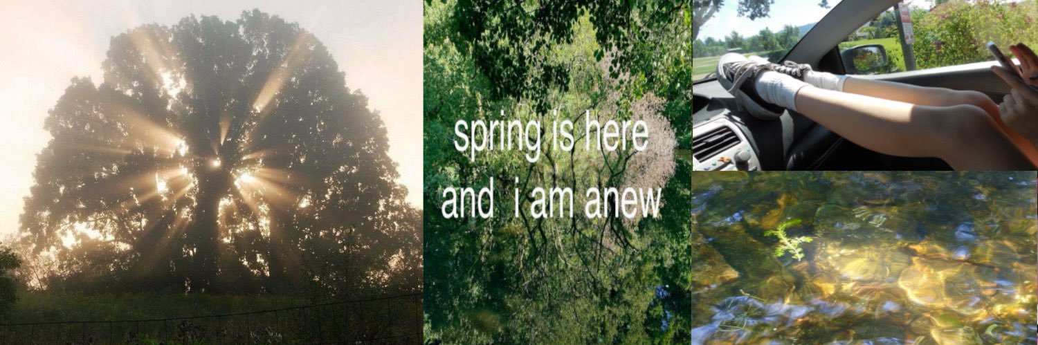 bells 𓏲ּ𝄢 ͏ ͏ ͏ banner