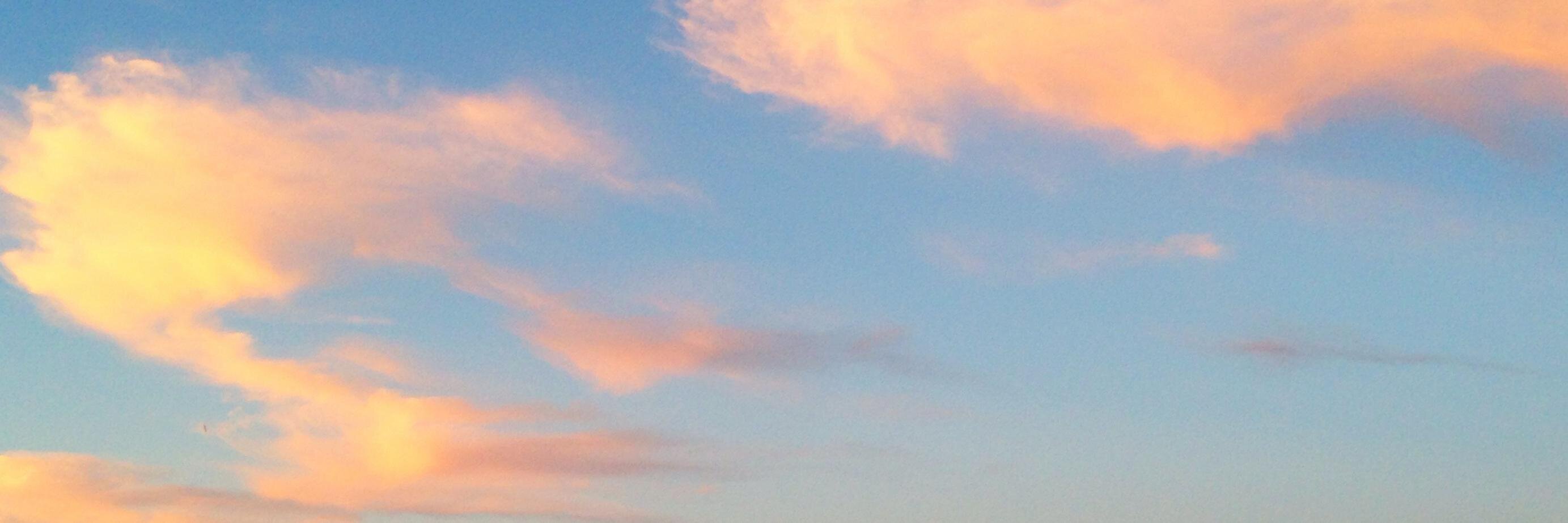 Sandra Cano banner
