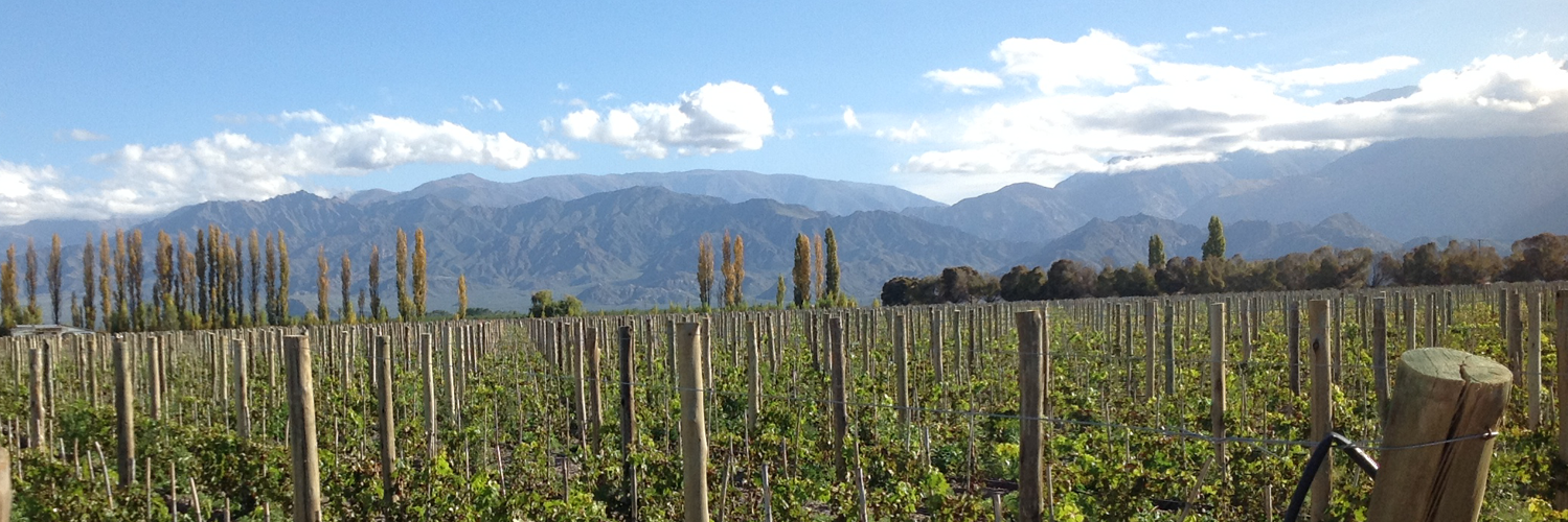MendelWines's profile banner image