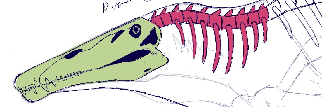 Mr. Psittacosaurus banner
