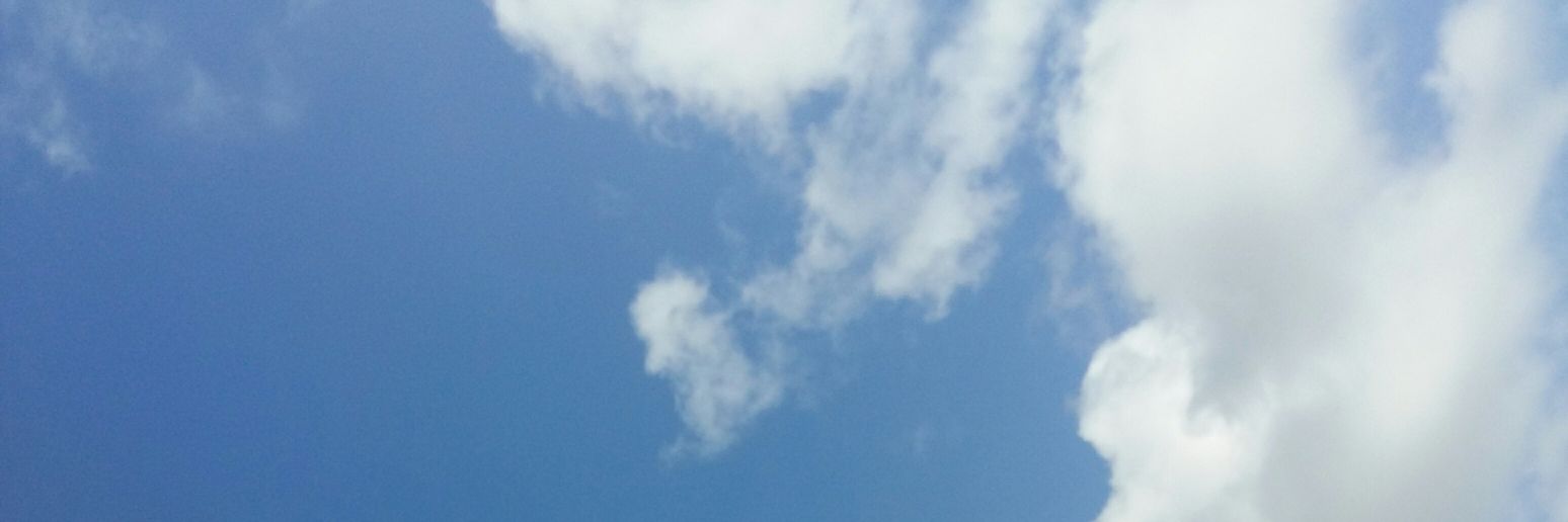 prynta's profile banner image